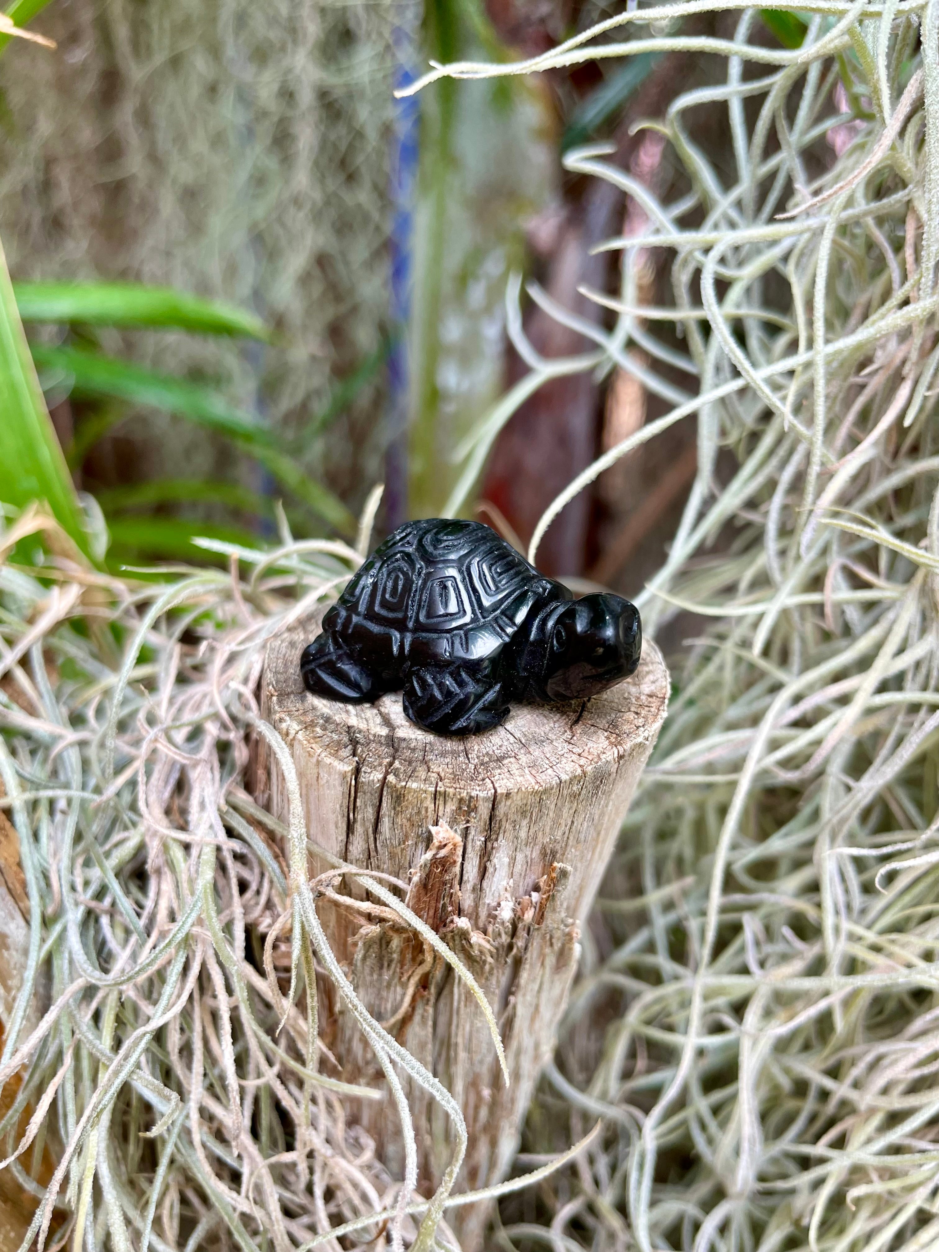 Turtle Carving