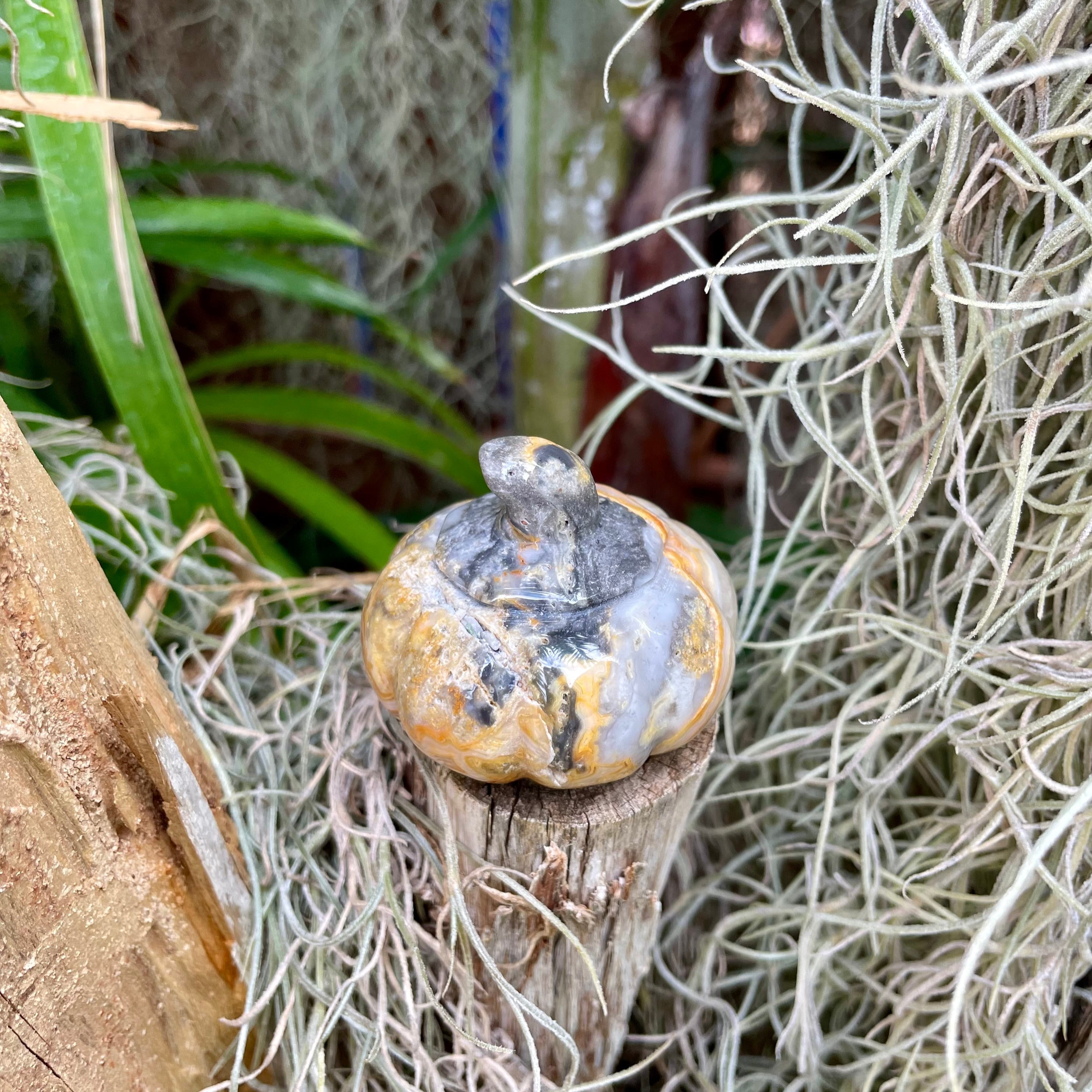 Crazy Lace Agate Pumpkin