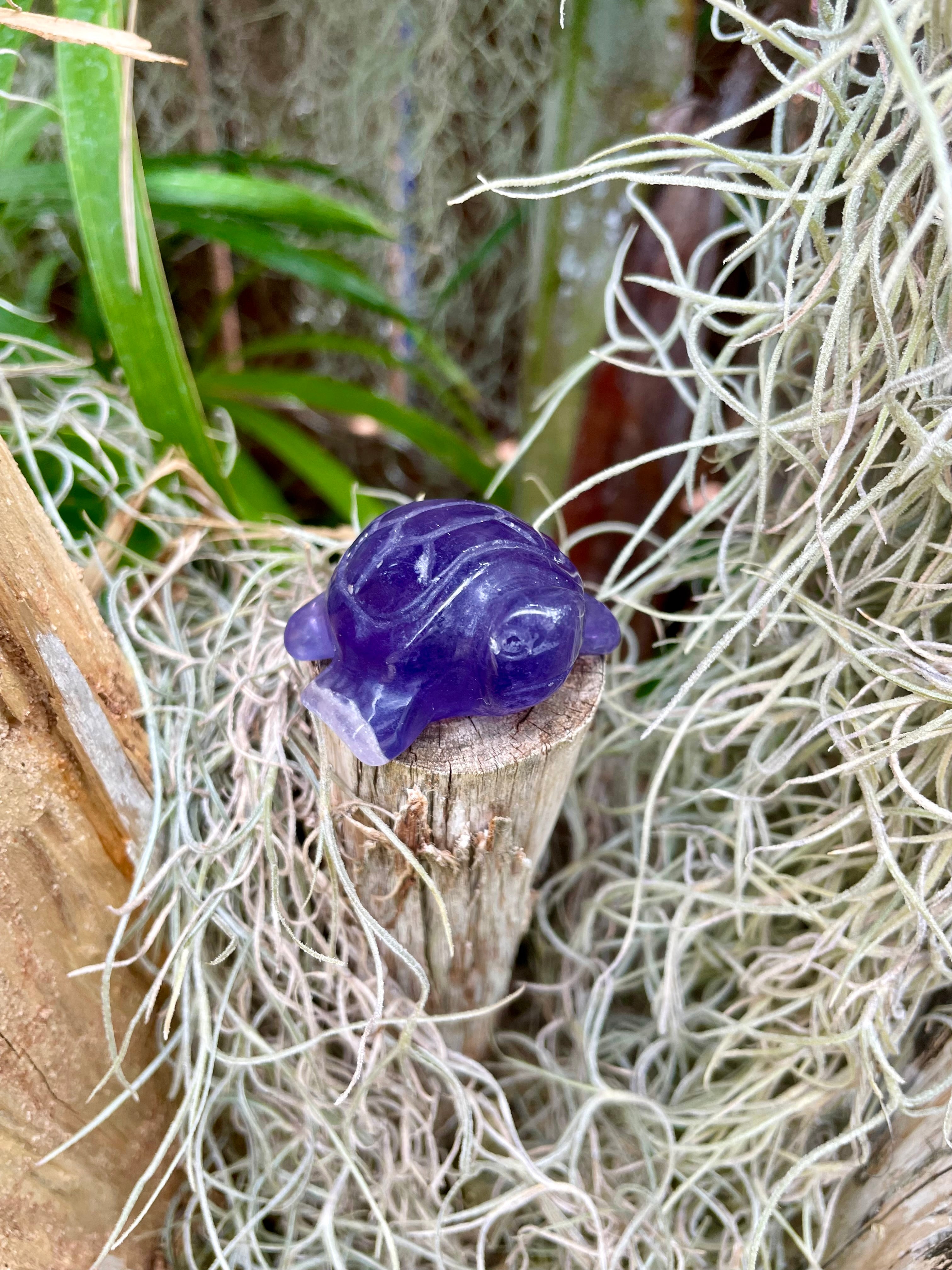 Purple Fluorite Sea Turtle