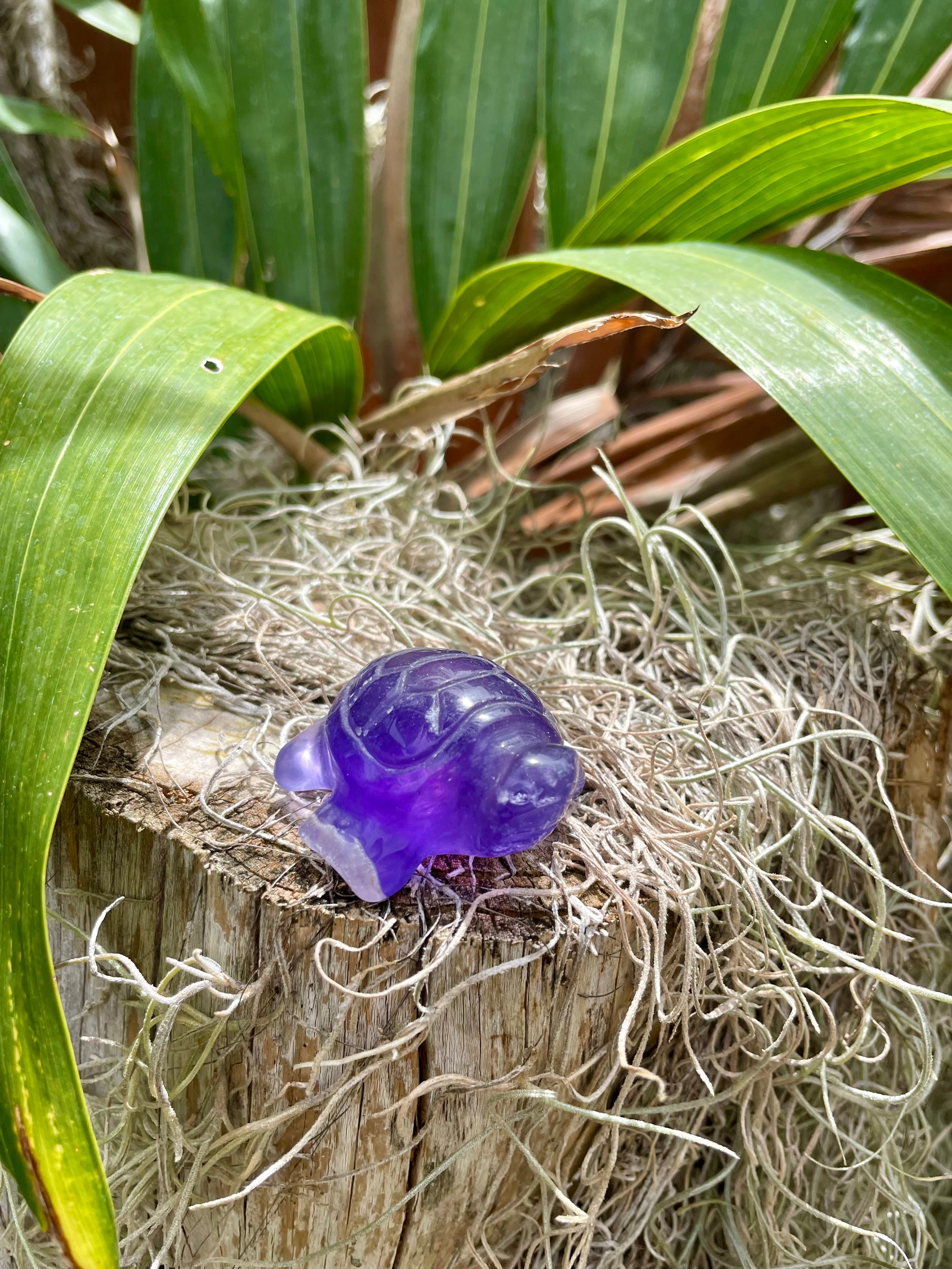 Purple Fluorite Sea Turtle