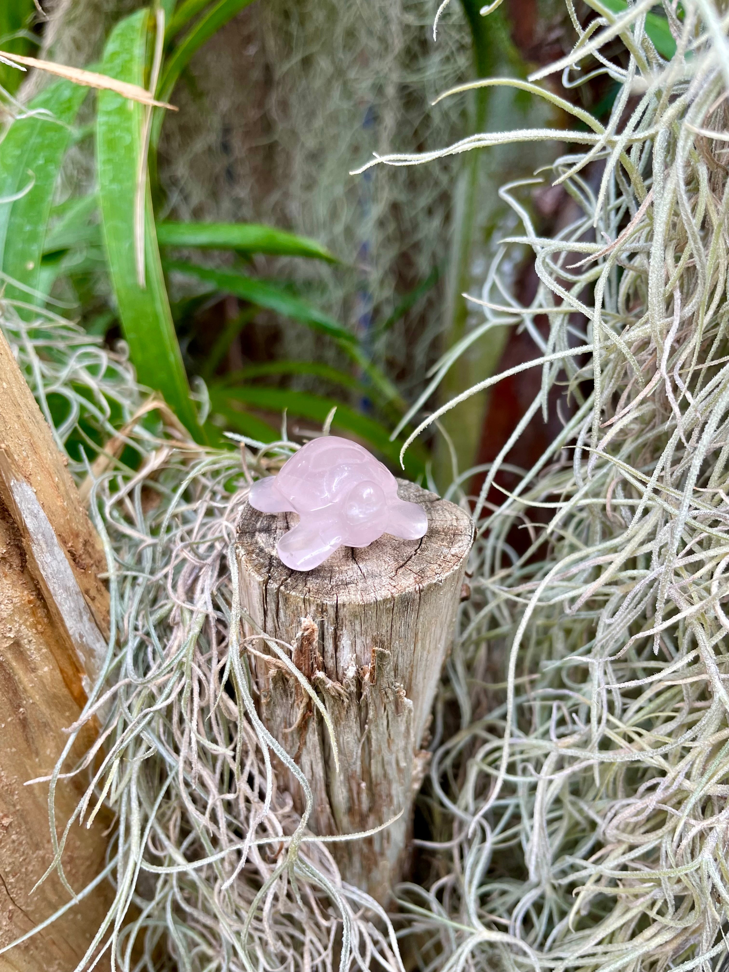 Rose Quartz Sea Turtle